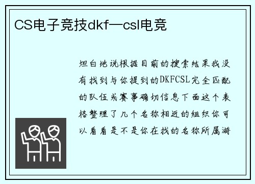 CS电子竞技dkf—csl电竞